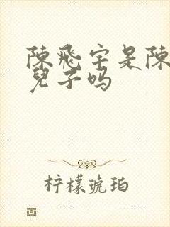 陈飞宇是陈凯歌儿子吗