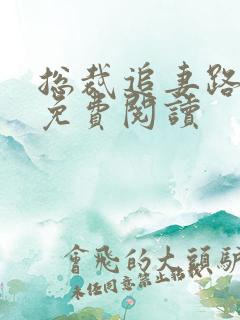 总裁追妻路漫漫免费阅读