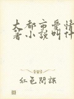 大都市爱情法原著小说叫什么