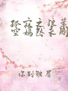 孤寂之狼叶凡司空嫣然未删减txt下载