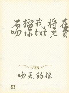 石榴我将在今夜吻你txt免费阅读