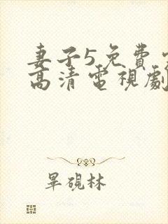 妻子5免费完整高清电视剧看