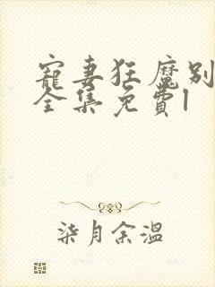 宠妻狂魔别太坏全集免费l