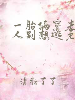一胎俩宝老婆大人别想逃免费阅读