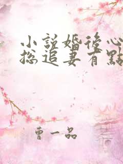 小说婚后心动凌总追妻有点甜全文免费阅读