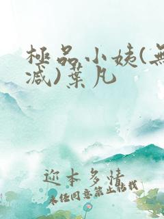 极品小姨(无删减)叶凡