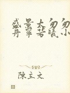 盛景太匆匆沈砚舟宁若曦小说