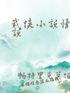 武侠小说情爱小说