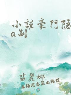 小说豪门隐婚aa制