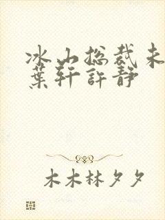 冰山总裁未婚妻叶轩许静