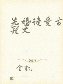 先婚后爱古言甜宠文