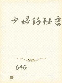 少妇的秘密小说