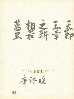 万相之王天蚕土豆最新章节列
