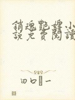 销魂艳婢小桃小说免费阅读