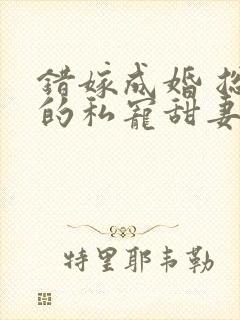 错嫁成婚 总裁的私宠甜妻