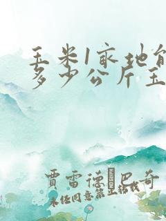 玉米1亩地能产多少公斤玉米