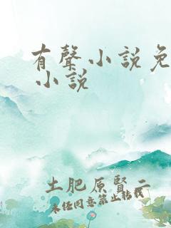 有声小说免费的 小说