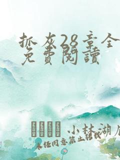 抓灰28章全部免费阅读