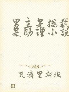 男主是总裁女主是助理小说