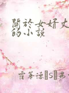 关于女婿丈母娘的小说