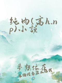 纯肉(高h.np)小说