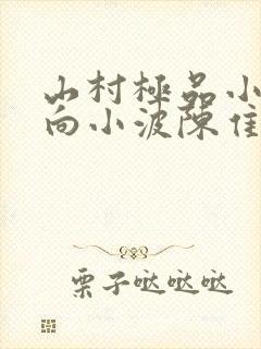 山村极品小神医向小波陈隹彗