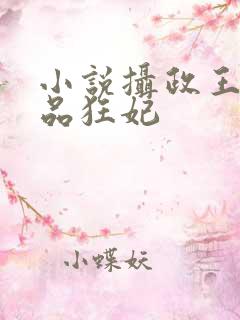 小说摄政王的医品狂妃