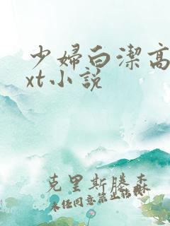 少妇白洁高义txt小说