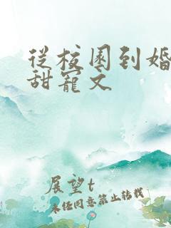 从校园到婚纱的甜宠文