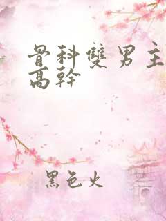 骨科双男主年下高干