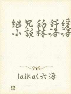 继兄的舒缓治疗小说林洛洛免费阅读