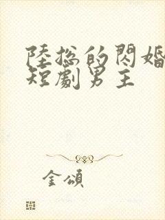 陆总的闪婚甜妻短剧男主