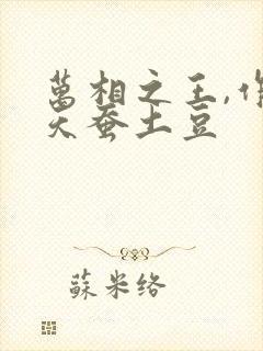 万相之王,作者天蚕土豆