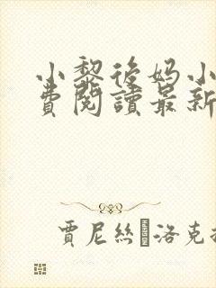 小黎后妈小说免费阅读最新章节更新