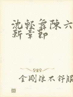 沈轻舞陈六何最新章节