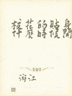 校花的贴身高手什么时候开始写的