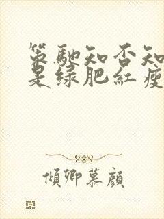 策驰知否知否应是绿肥红瘦在线观看