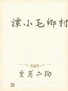 谭小毛乡村艳事
