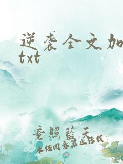 逆袭全文加番外txt