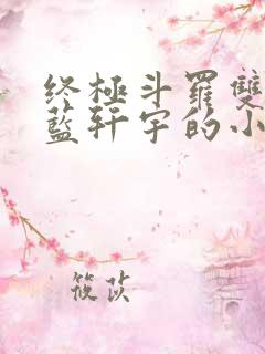 终极斗罗双男主蓝轩宇的小说