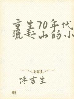 重生70年代打猎赶山的小说