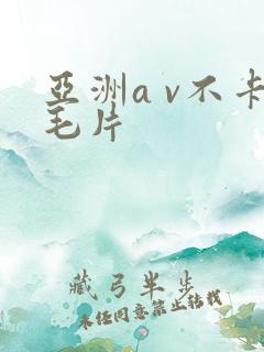 亚洲a v不卡毛片