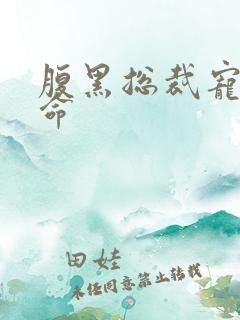 腹黑总裁宠妻如命