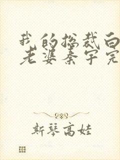 我的总裁白富美老婆秦宇完结版