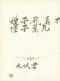 嫂子,我真不是傻子叶凡