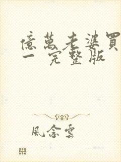 亿万老婆买一送一 完整版