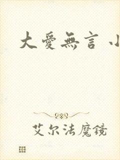 大爱无言 小说