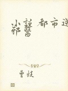 小说 都市逆天邪医