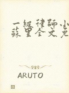 一级律师小说木苏里全文免费阅读