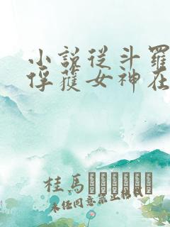小说从斗罗开始俘获女神在线阅读全文